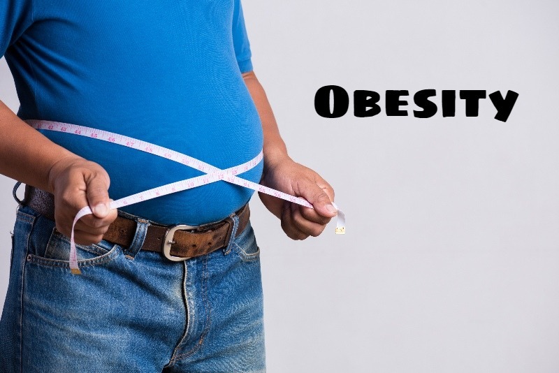 Impact Of Obesity On The Cardiovascular System 