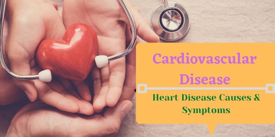 Cardiovascular Disease: Heart Disease Causes and Symptoms | Dr. Meghana ...